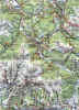 mapa.jpg (940322 bytes)